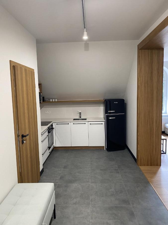 Apartamenty Przy Parku Szwedzkim Szczawno-Zdroj Exterior photo